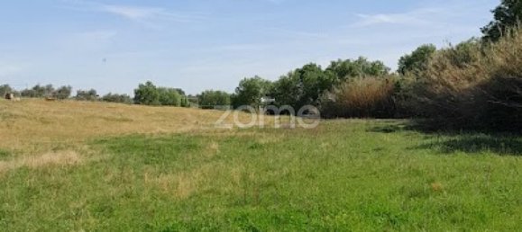  قطعة أرض في Campo Maior, Portugal رقم 86161 40