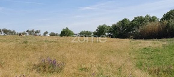  قطعة أرض في Campo Maior, Portugal رقم 86161 9