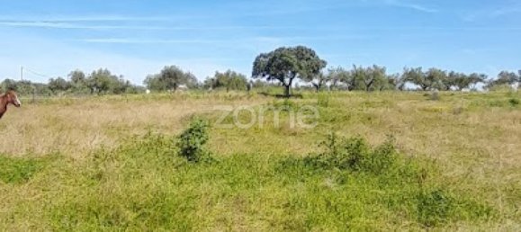  قطعة أرض في Campo Maior, Portugal رقم 86161 13