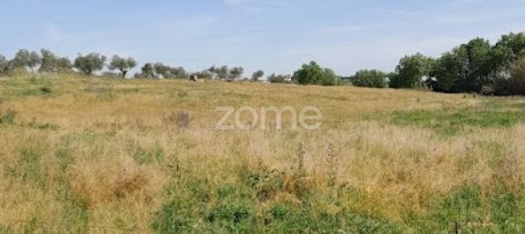  قطعة أرض في Campo Maior, Portugal رقم 86161 39