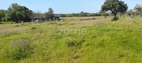  قطعة أرض في Campo Maior, Portugal رقم 86161 15