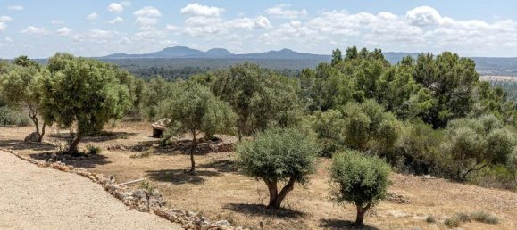 4 bedrooms Villa in Puntiro, Spain No. 14115 9