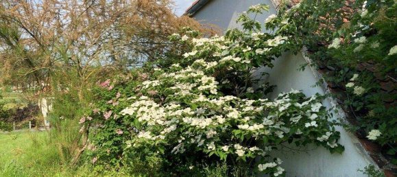 7 rooms Townhouse in Gussing, Austria No. 53217 4