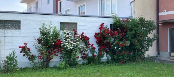 7 rooms Townhouse in Gussing, Austria No. 53217 6