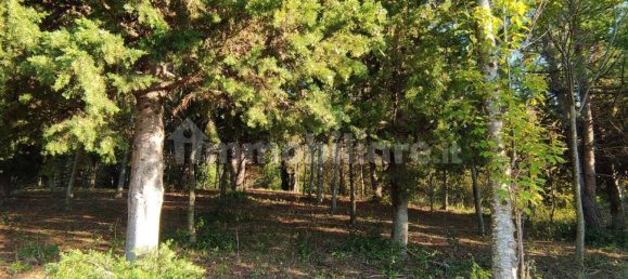 Земельный участок 300м² в Сенигаллия, Италия № 156545 2