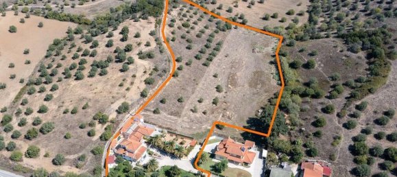 8 bedrooms House in Torres Novas, Portugal No. 49937 30
