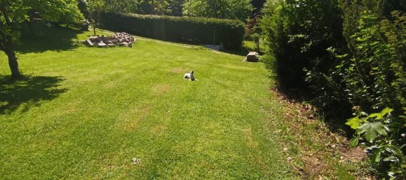 Terreno en Landshut, Germany No. 272932 2