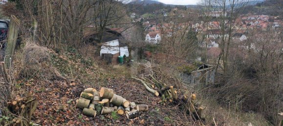 Земельный участок в Шмалькальден-Майнинген, Германия № 157431 3