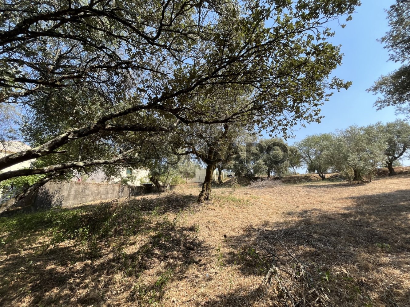 Terreno em Tomar, Portugal N.º 233091