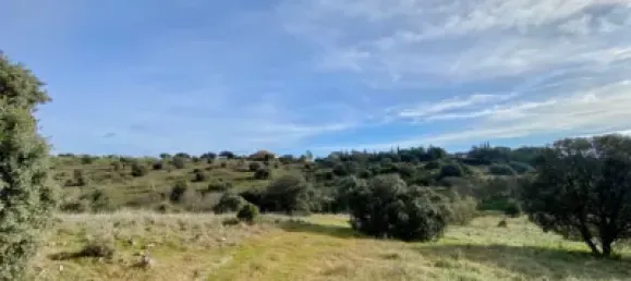 Land in Valdemorillo, Spain No. 118432 8