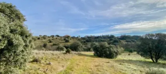 Land in Valdemorillo, Spain No. 118432 2