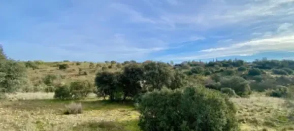 Land in Valdemorillo, Spain No. 118432 3