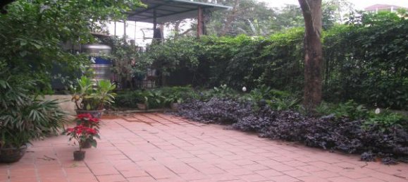 Villa de 4 dormitorios en Tay Ho, Vietnam No. 6698 15