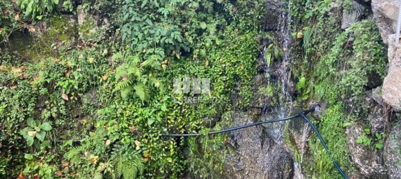 Grundstück in Marco de Canaveses, Portugal 6300m², Nr. 49728 21