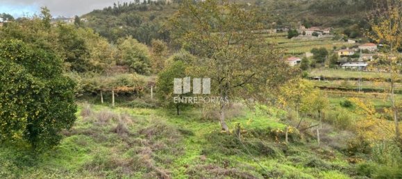 Grundstück in Marco de Canaveses, Portugal 6300m², Nr. 49728 23