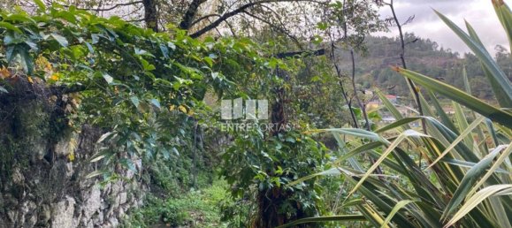 Grundstück in Marco de Canaveses, Portugal 6300m², Nr. 49728 19