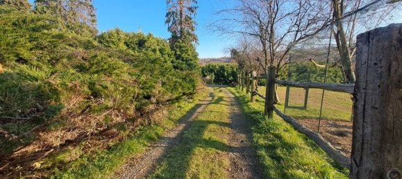 Casa de 8 habitaciónes en Cerrione, Italy No. 201237 23
