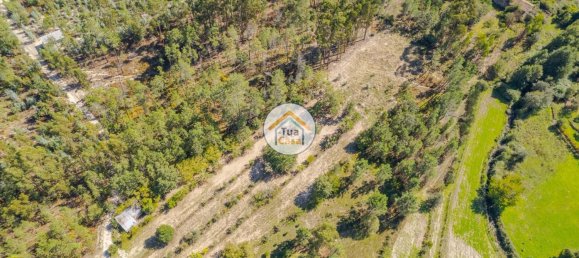 6662m² Land in Mangualde, Portugal No. 62716 8