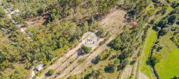 6662m² Land in Mangualde, Portugal No. 62716 5