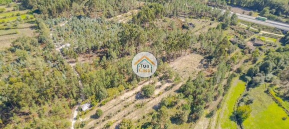 6662m² Land in Mangualde, Portugal No. 62716 4