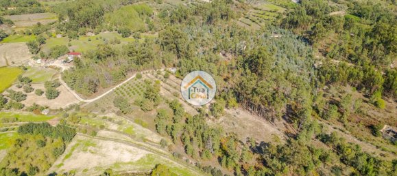 6662m² Land in Mangualde, Portugal No. 62716 6