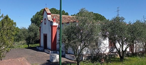 Grundstück in Sao Bartolomeu de Messines, Portugal 803240m², Nr. 9704 18
