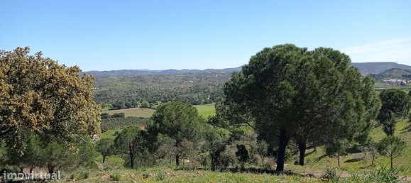 Grundstück in Sao Bartolomeu de Messines, Portugal 803240m², Nr. 9704 13