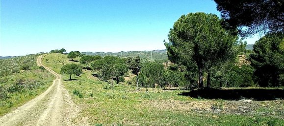 Grundstück in Sao Bartolomeu de Messines, Portugal 803240m², Nr. 9704 14