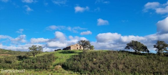 Grundstück in Sao Bartolomeu de Messines, Portugal 803240m², Nr. 9704 27