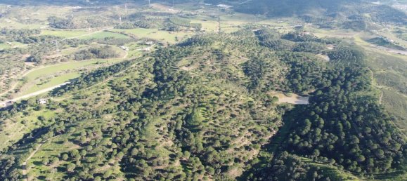 Grundstück in Sao Bartolomeu de Messines, Portugal 803240m², Nr. 9704 12