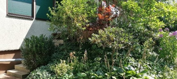 4 bedrooms House in Brandenburg, Germany No. 46529 3