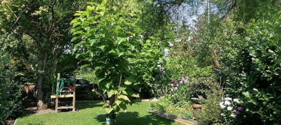 4 bedrooms House in Brandenburg, Germany No. 46529 5