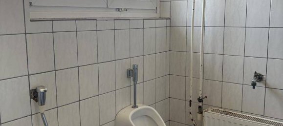 Gewerbliche Immobilie in Feldbach, Austria 250m², Nr. 158792 12