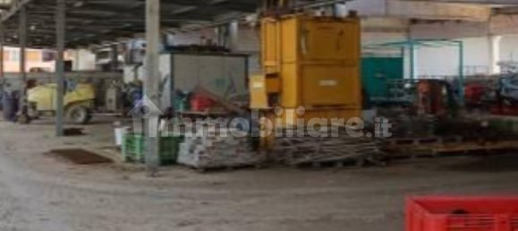 Almacén de 5 habitaciónes en Scanzano Jonico, Italy No. 266887 8