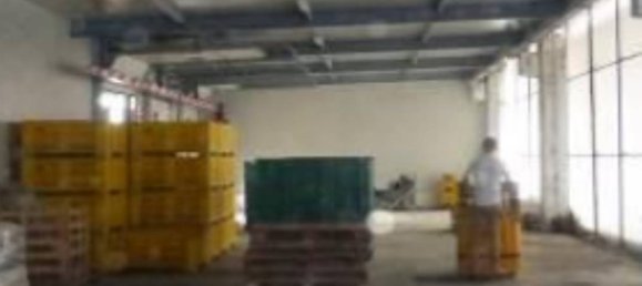 Almacén de 5 habitaciónes en Scanzano Jonico, Italy No. 266887 5