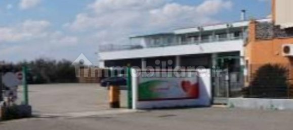 Almacén de 5 habitaciónes en Scanzano Jonico, Italy No. 266887 9