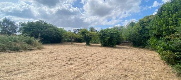 1497m² Land in Aprilia, Italy No. 135969 5