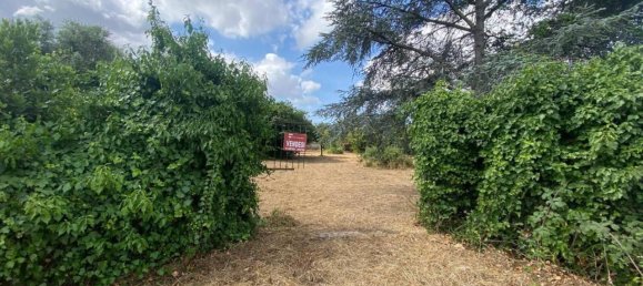 1497m² Land in Aprilia, Italy No. 135969 14