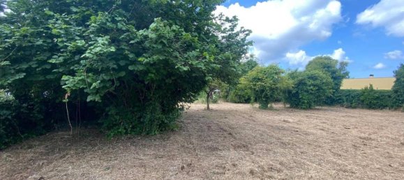 1497m² Land in Aprilia, Italy No. 135969 9