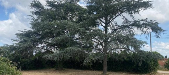 1497m² Land in Aprilia, Italy No. 135969 8