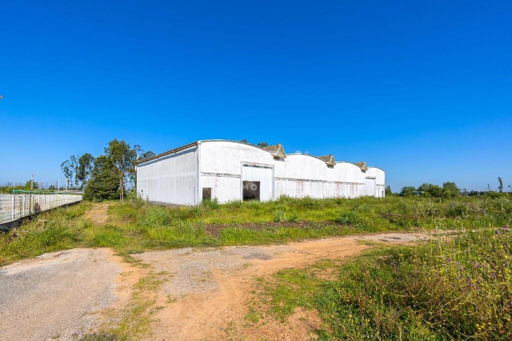 6340m² Land in Albergaria a Velha, Portugal No. 209643