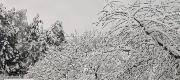 3 غرف نوم منزل في Hasberge, Germany رقم 237530 8