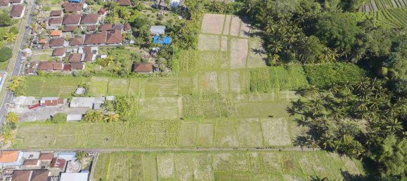  Land in Abiansemal, Indonesia No. 32 2