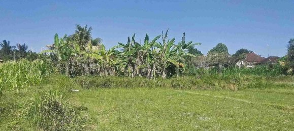  Land in Abiansemal, Indonesia No. 32 5