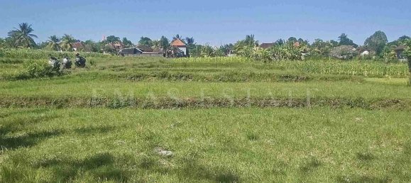  Land in Abiansemal, Indonesia No. 32 3