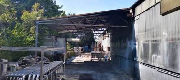 Lagerhaus in Montespertoli, Italy 1926m², Nr. 340790 11