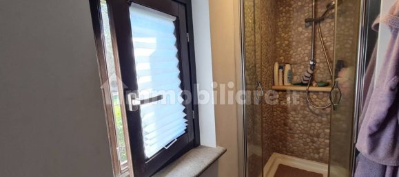 2 غرف نوم فيلا في Bracciano, Italy رقم 193351 17