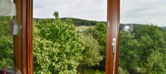 6 rooms House in Eichgraben, Austria No. 219675 11