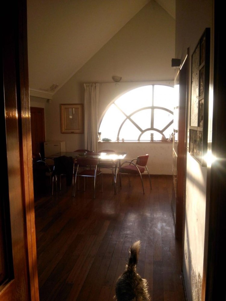 Studio in Cordoba, Argentina, Nr. 8263