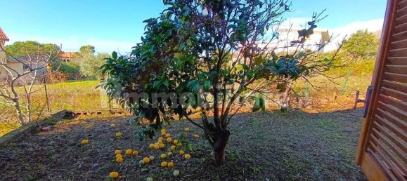 5 bedrooms Villa in Praia a Mare, Italy No. 119996 6